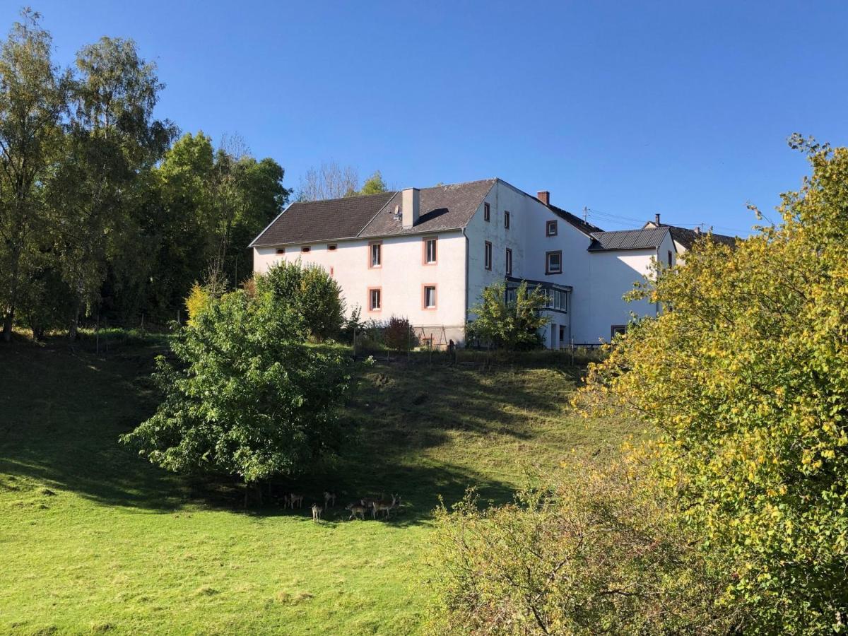 Apartamento Künstlerhaus Rehblick Rockeskyll Exterior foto