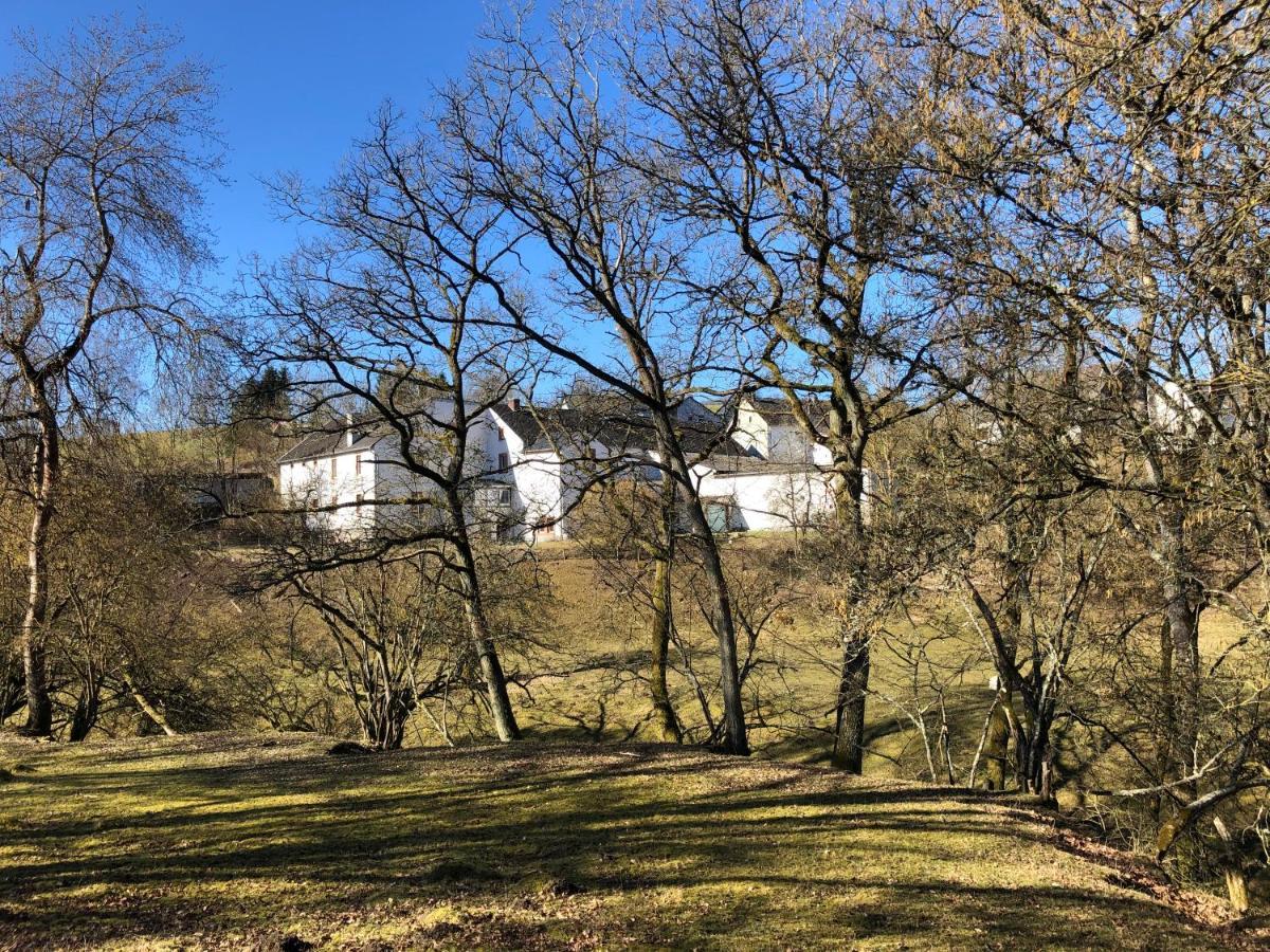 Apartamento Künstlerhaus Rehblick Rockeskyll Exterior foto