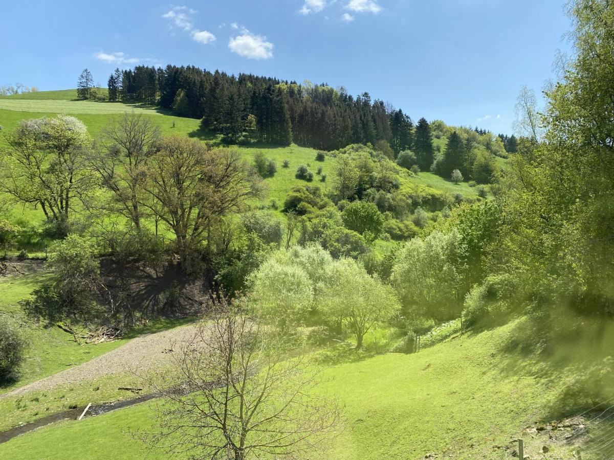Apartamento Künstlerhaus Rehblick Rockeskyll Exterior foto